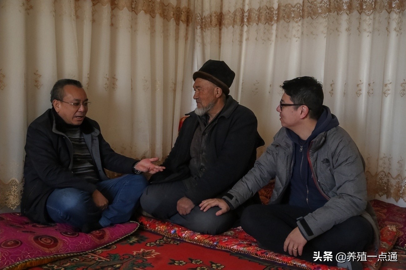 杨开伦（白族），云南大理人，新疆农业大学动科院长，牛羊专家