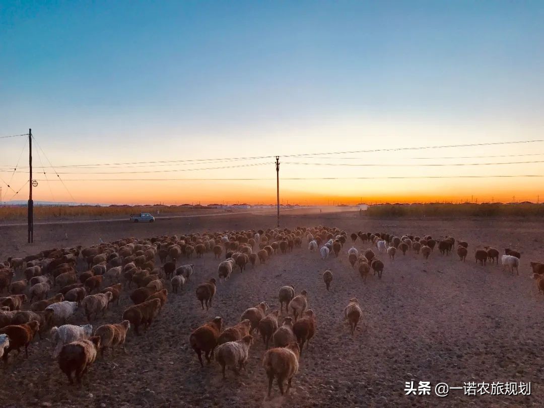 为什么有的乡建项目投了很多钱，却做不起来？