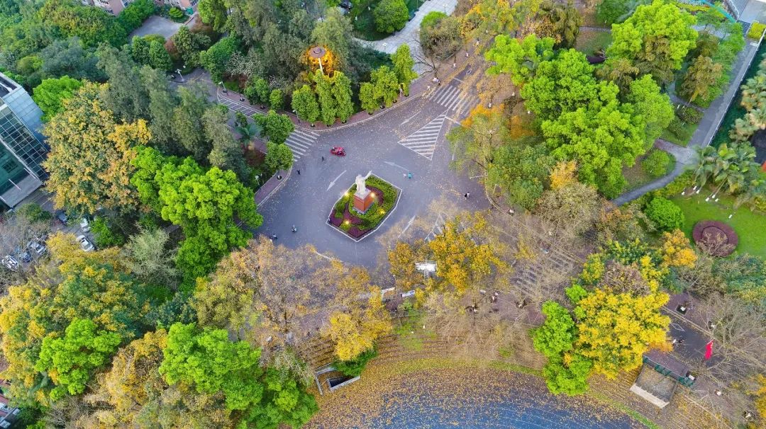 重大的春天，就是不一样