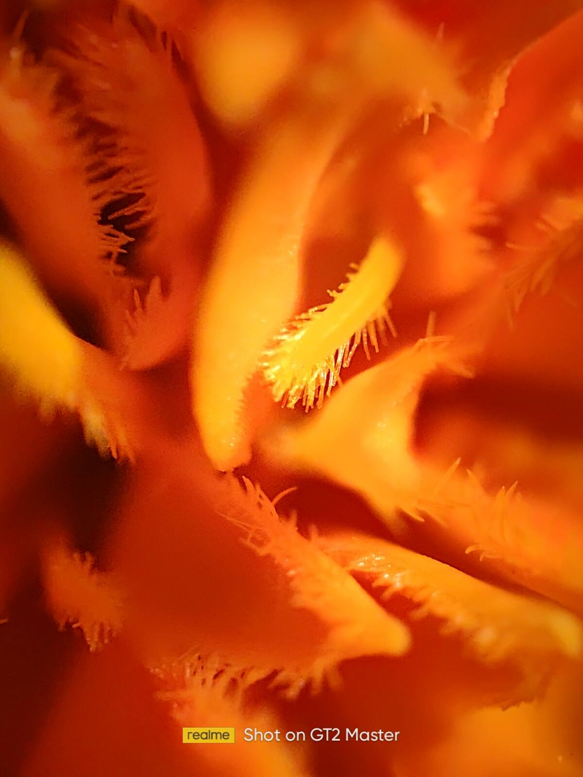 真我GT2大师探索版上手体验，性能质感双向在线