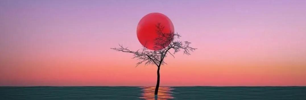 Whispers of the moon, dreams painted in starlight—beauty that steals breath and lingers in silence.