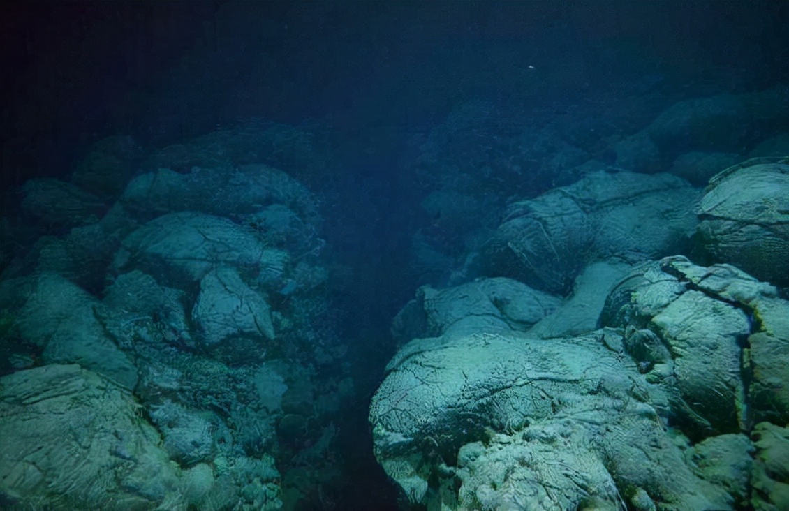 马里亚纳海沟底部图片图片
