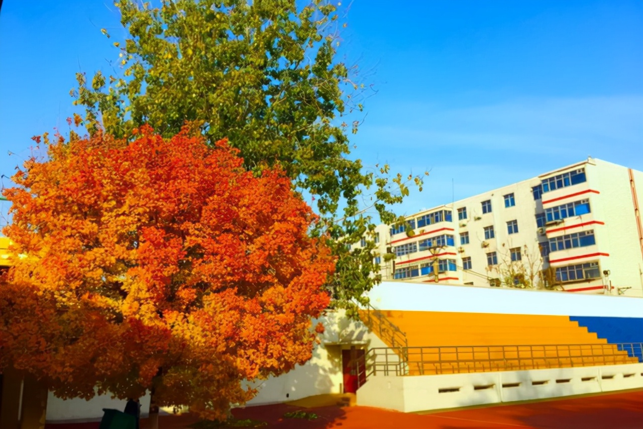 喜报！河南四所中学入围清华优质生源地，被誉为“四大天王”