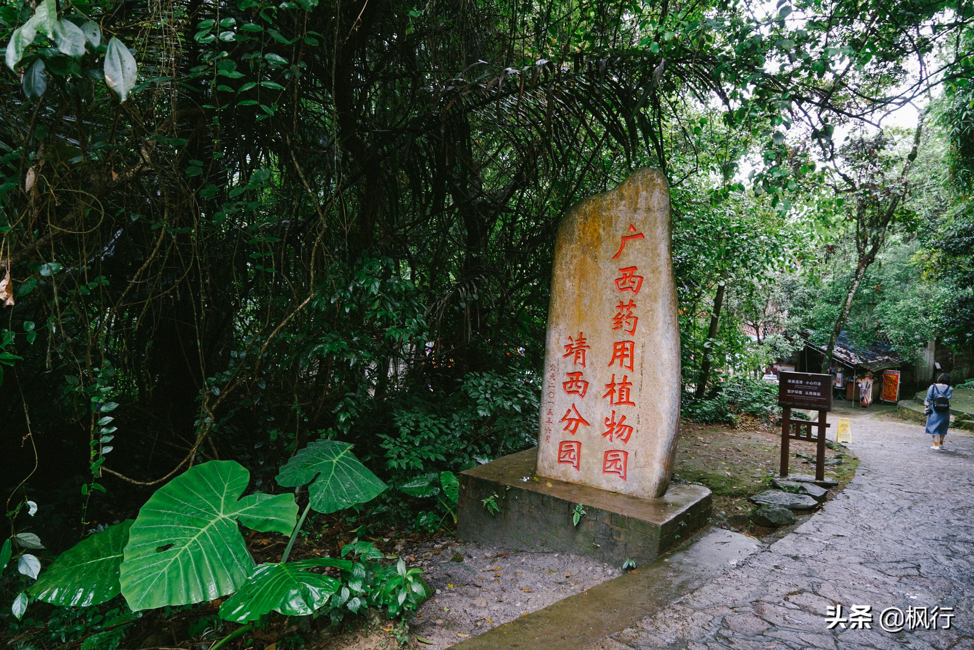 从崇左到靖西，广西赠送我的一首田园诗；附景区自驾攻略