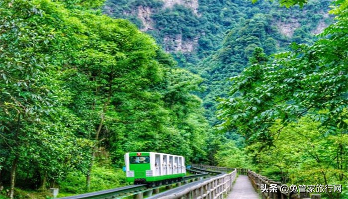 来张家界自驾游不能错过的一份超全攻略，错过太遗憾