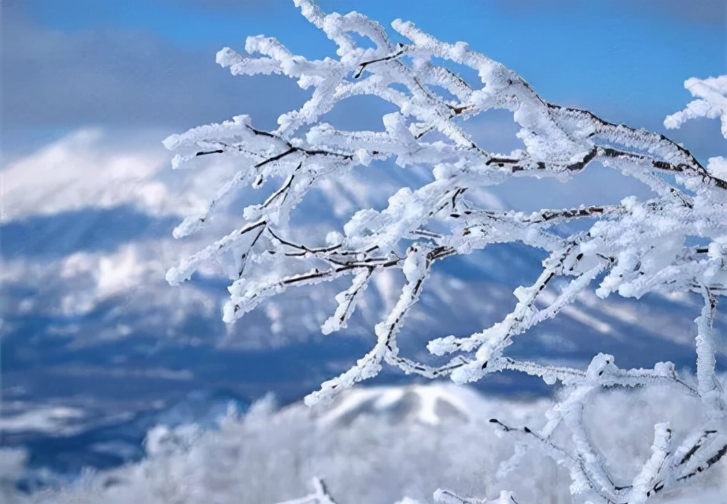 春雪飞舞兆祥瑞 诗词歌赋祝丰年