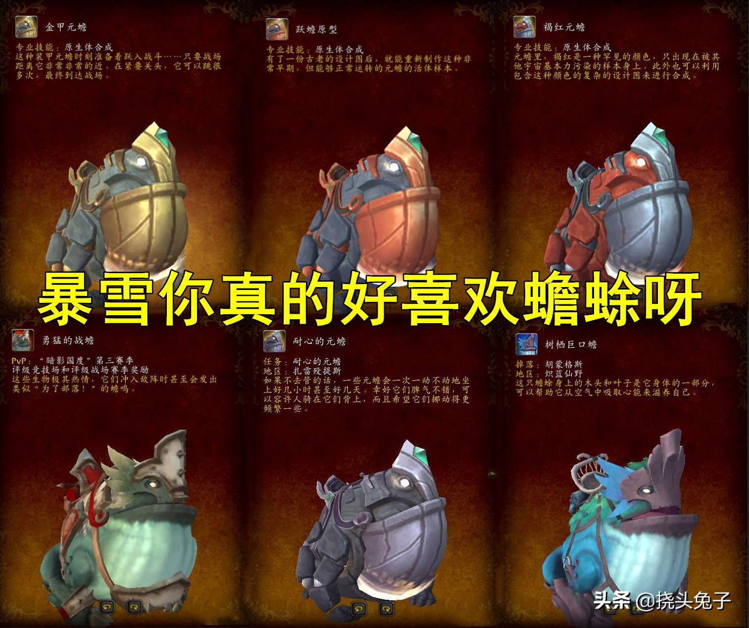 魔兽世界9.2隐藏坐骑揭秘 安谧港上交7天材料奖励耐心的元蟾
