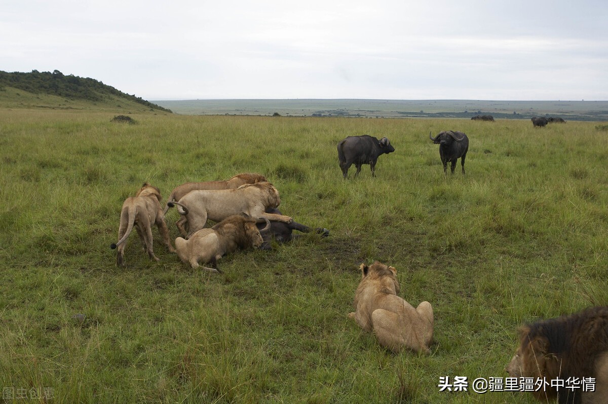 有人说电商好，有人说电商对实体伤害大，实际情况到底如何？