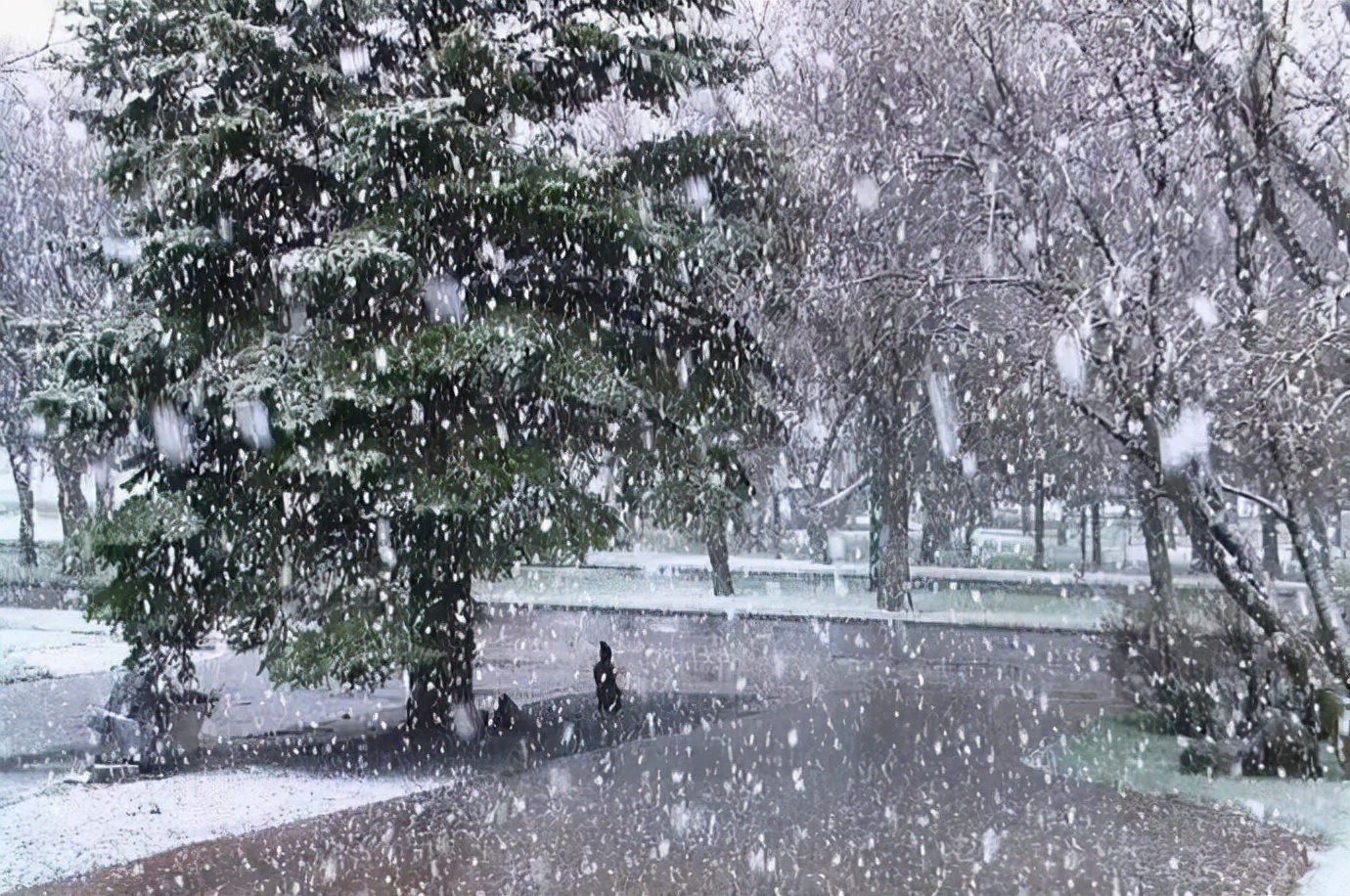 大范围雨雪将启动，南方也会天降大雪？看看形成下雪的原因就知道