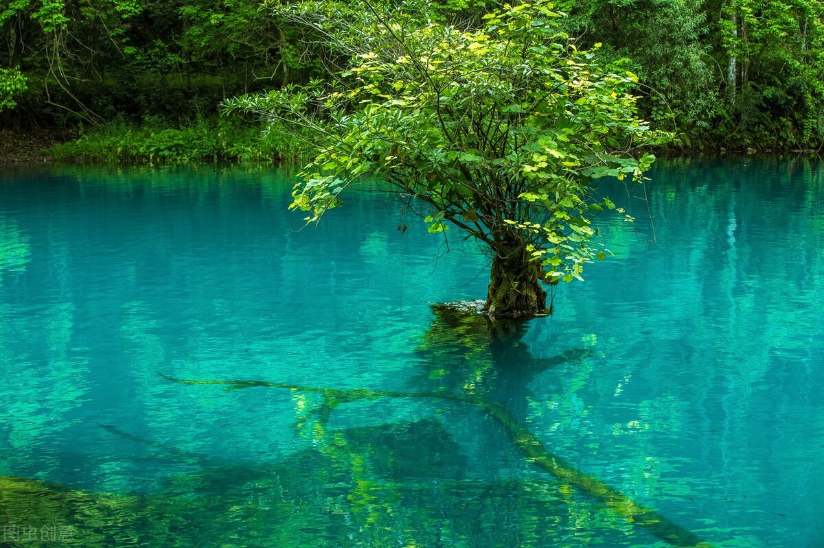 小区门口闷声发财的8个生意？