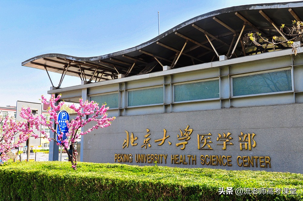 天道酬勤，1000道题做2遍看2遍，滨医女学霸428分考上北大研究生