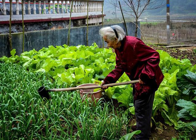 长寿群体的共性：4个长寿“指标”，希望你在60岁后，都能满足