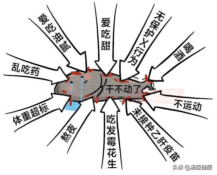 无数人爱喝的这种饮料，是怎样一步步毁掉肝脏的？