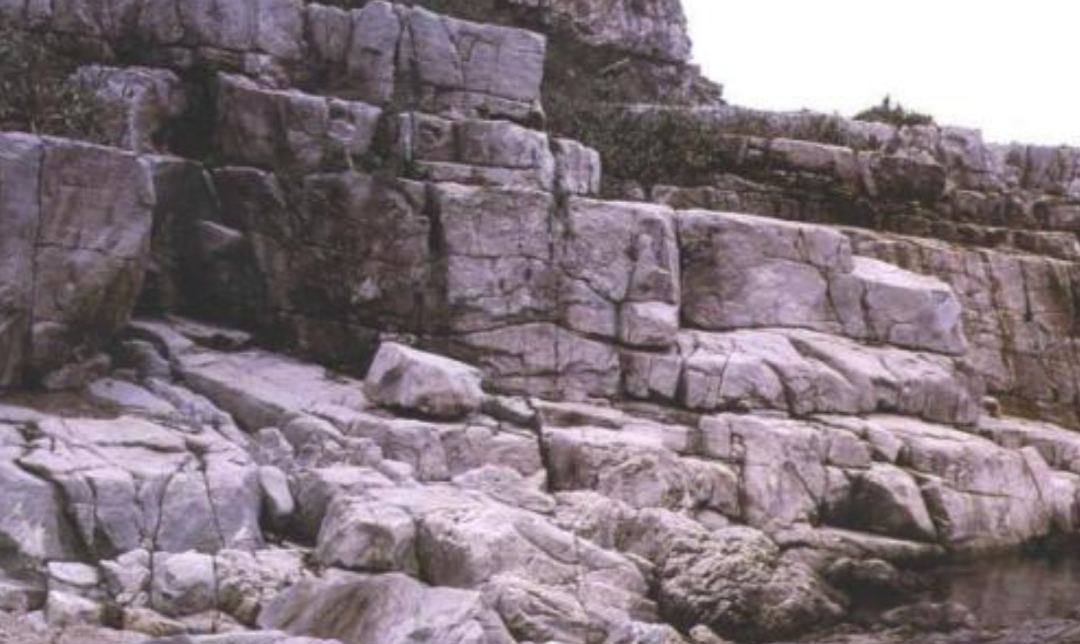 226,000年前，谁留在谁留在Aomi西藏西藏帕萨的小组？