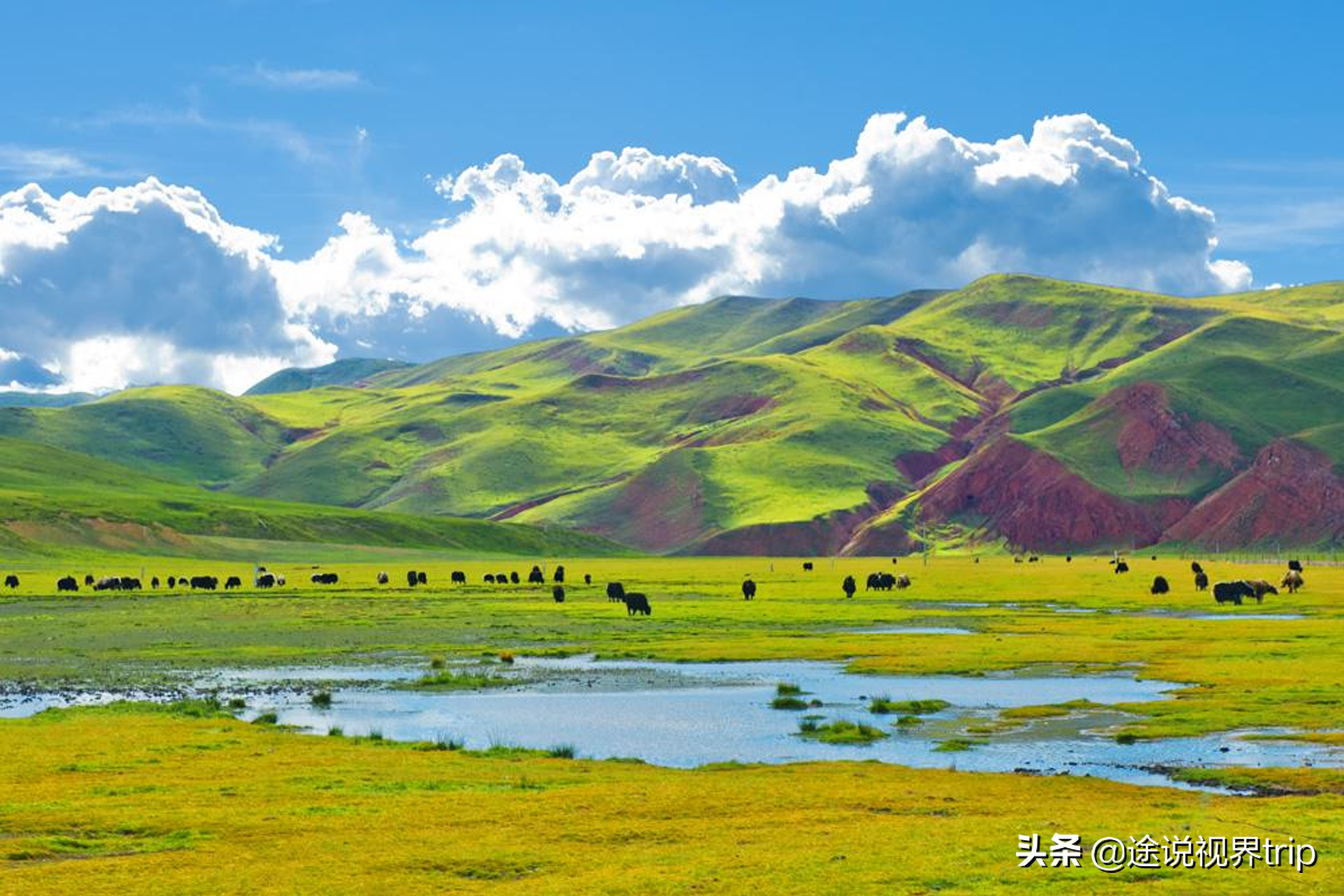 中国最大的十大城市（我国面积最大的10个城市）