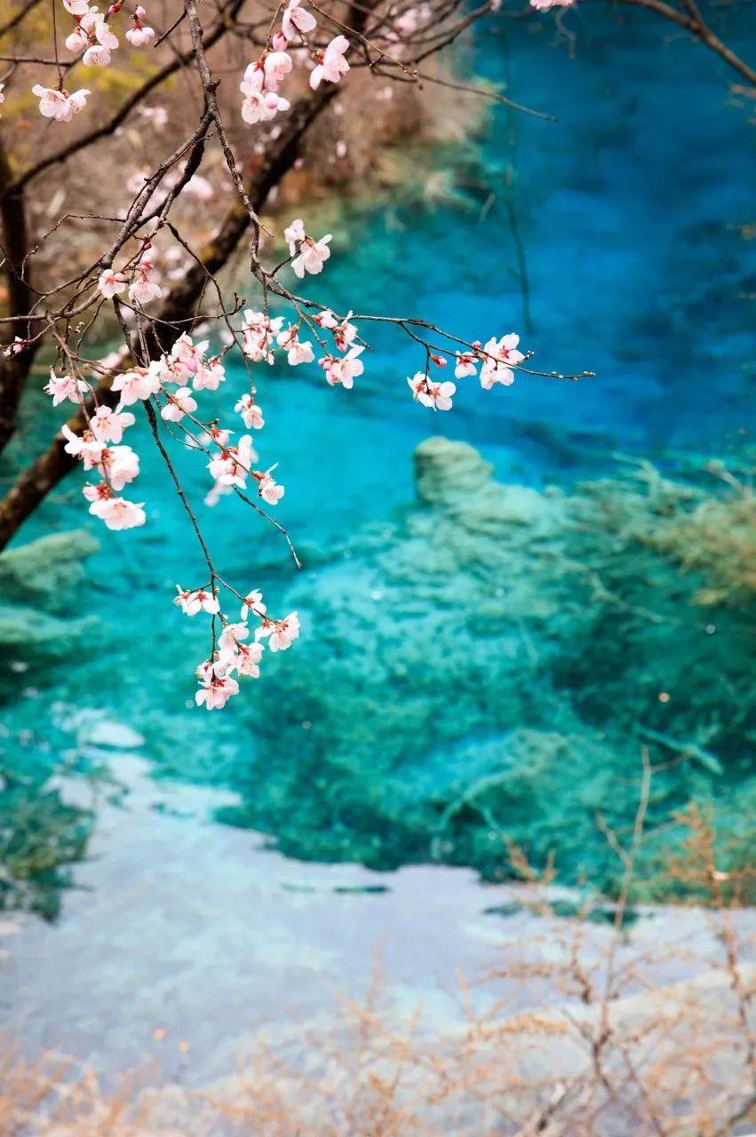 四川10个最美风景,去过6个就太幸福了
