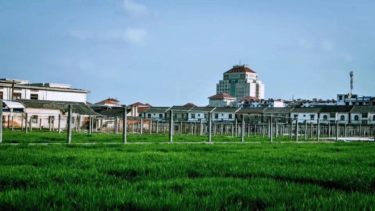 新增4个专业，其中3个都跟农业有关！扬州大学继续发力农学