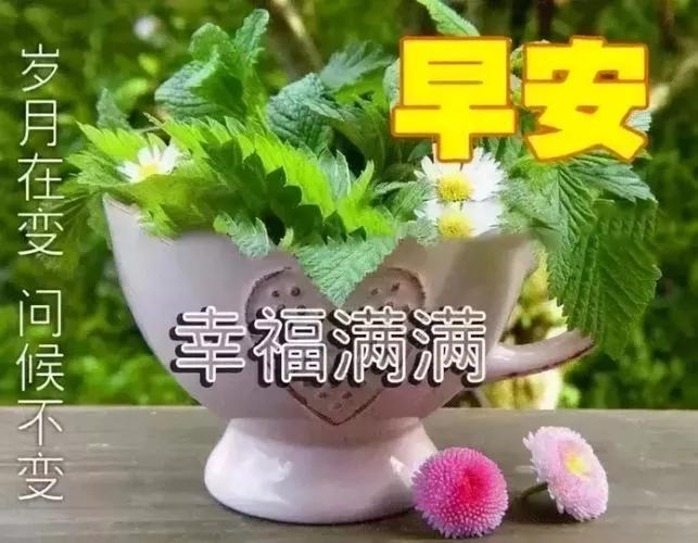 精辟到噎死人的现实语录，句句道尽人性