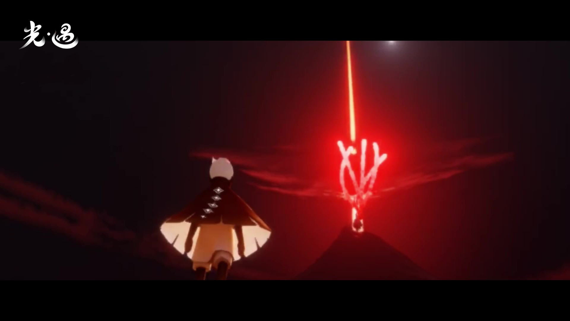 聚焦海龟公益 珍藏美好相遇｜《光·遇》520发布