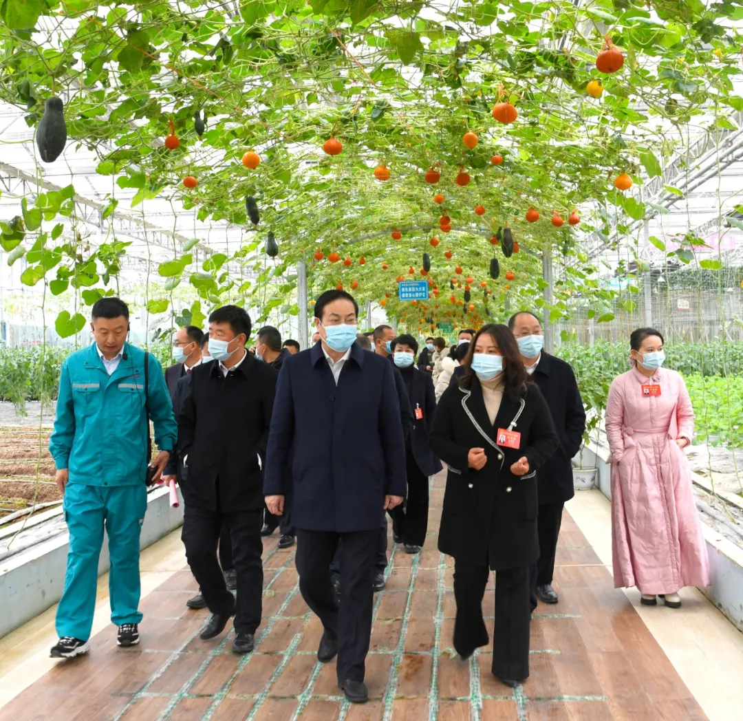 參加市六屆人大一次會議代表集中視察重點項目