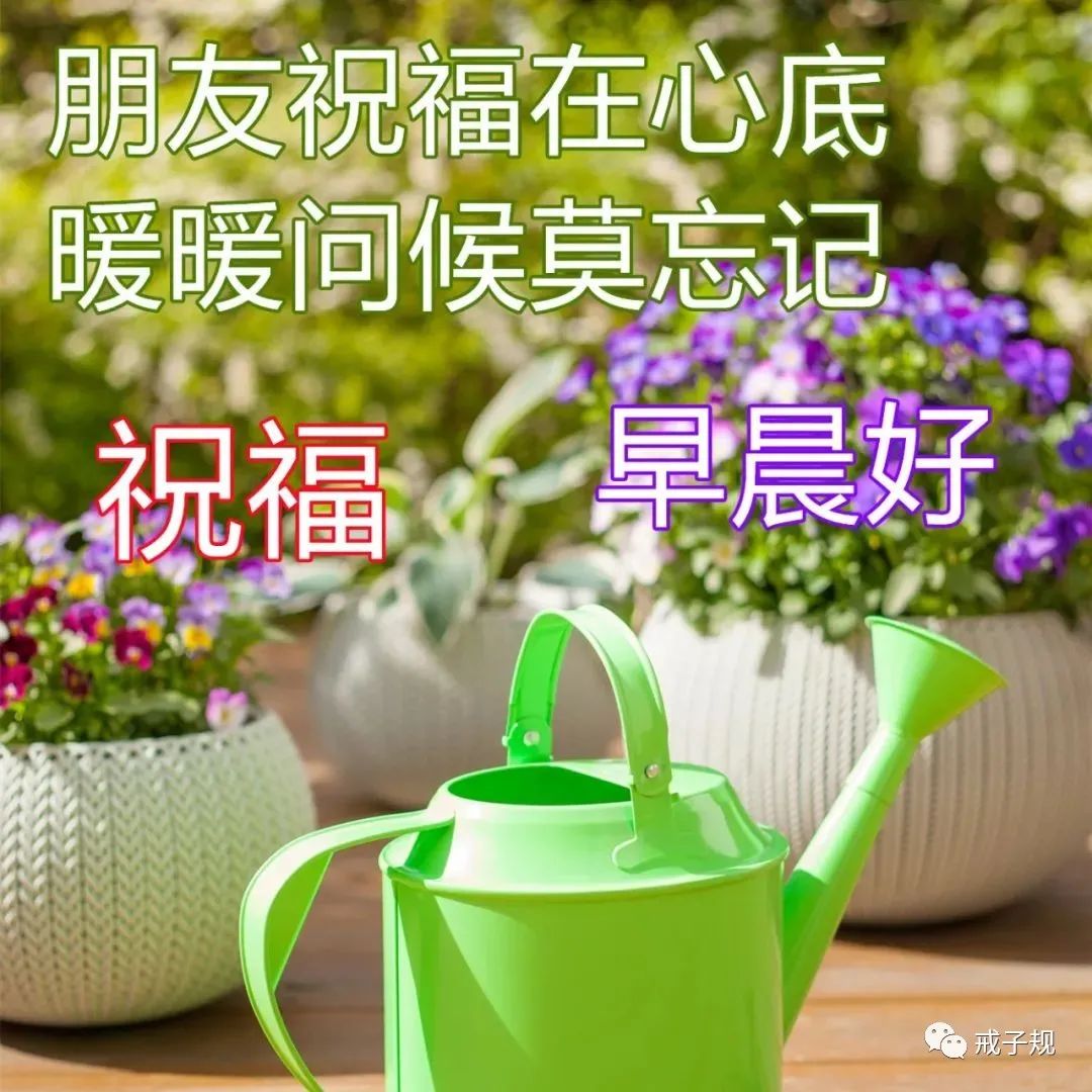 早上好祝福问候唯美图片，朋友圈感悟人生的心灵鸡汤语录