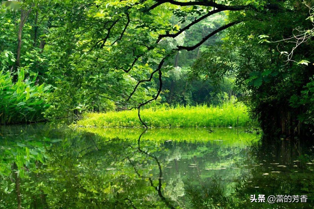 浅夏时光，安享平淡，用心人生，随遇而安