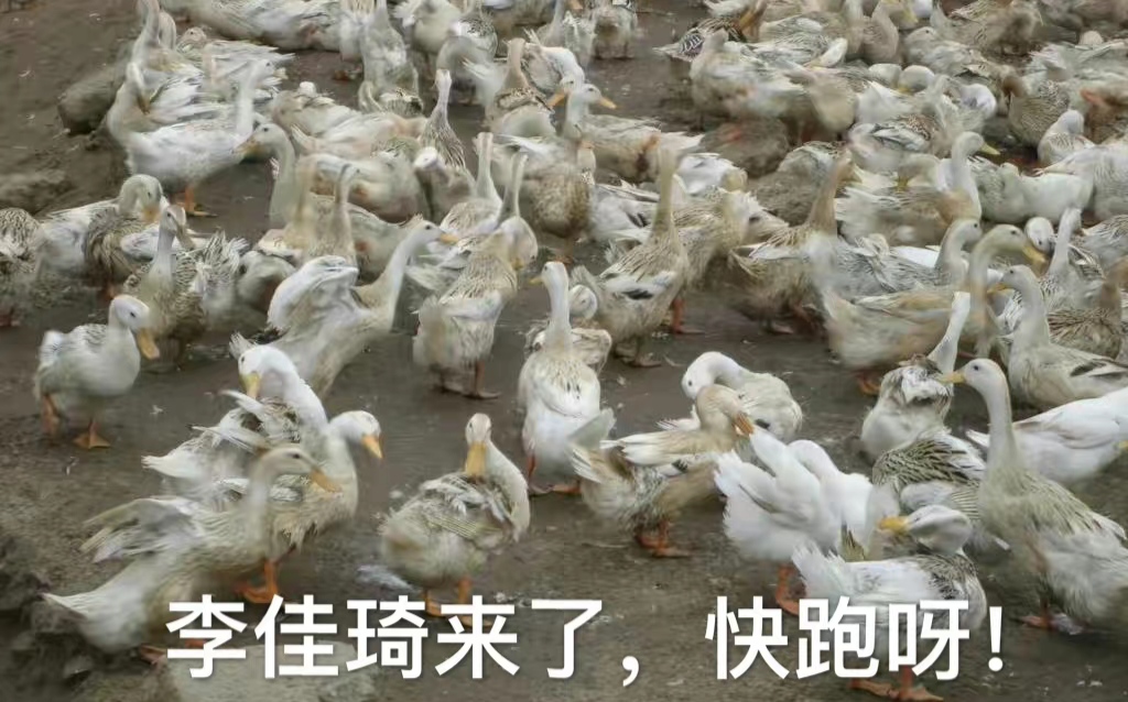 「热梗百科」“duck 不必”什么梗？