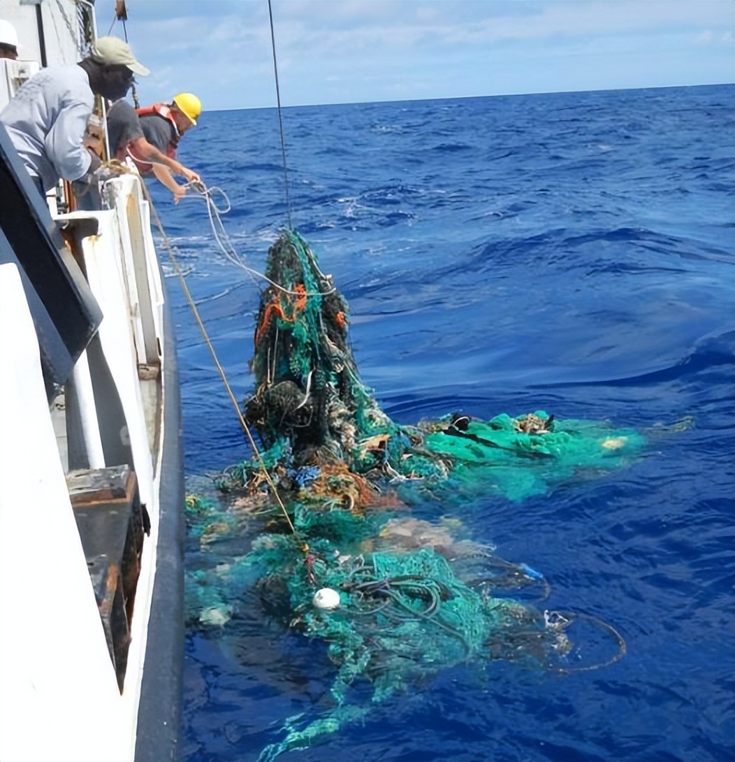 生态头条 | 人类纵的这把火，终于烧到自己身上