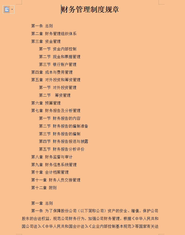 不愧是年薪30W的财务总监，刚上任实施的财务规章制度，真实用