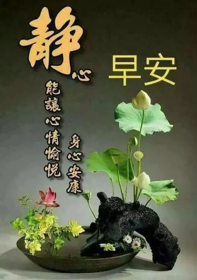 温馨的微信朋友圈早上好心情语录阳光句子 美好的今天掌握在你手里