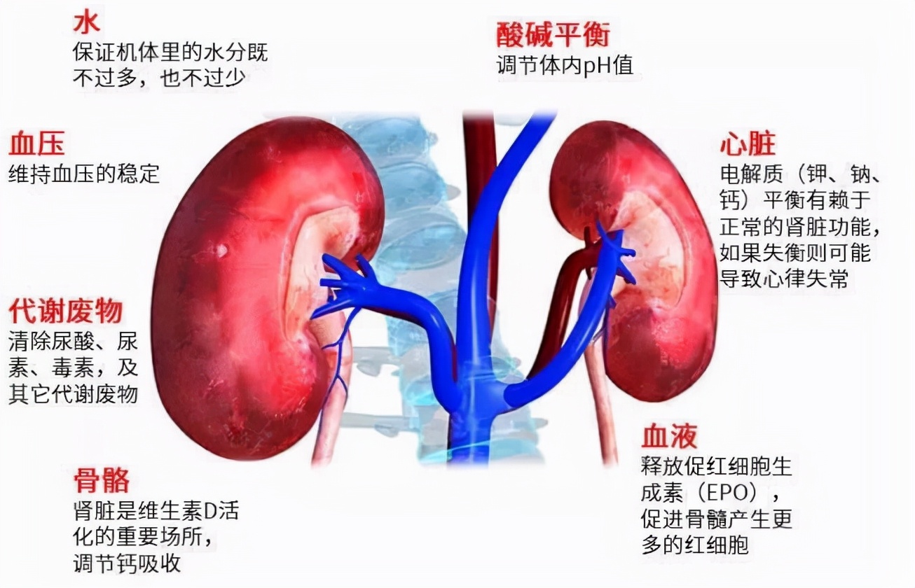 3个日常"补肾"方法,简单又有用
