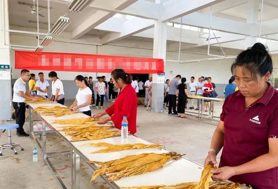 这4所大学厉害了！被称为中国烟草的“娘家”，分数线并不是很高