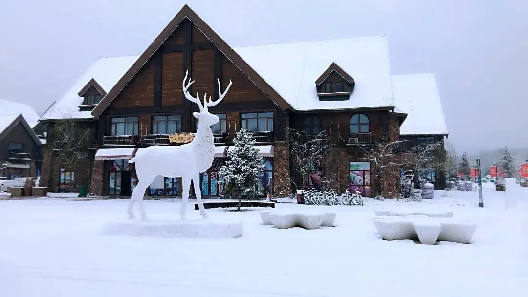 精品线路（208）：保定亲子游3大打卡地，冬天也不愁遛娃了