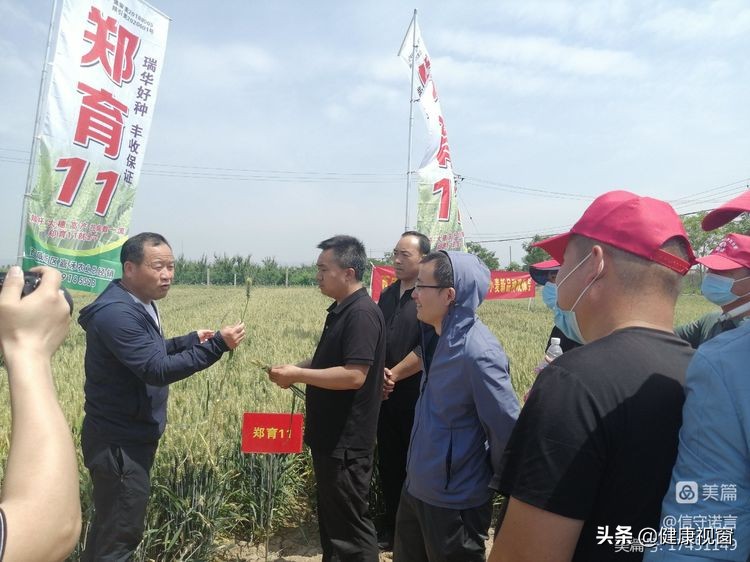 咸阳市礼泉县召开2022年夏粮生产暨小麦新品种观摩会