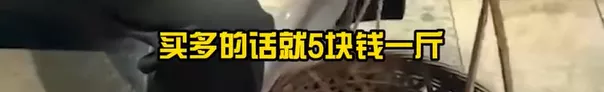 老人五元卖掉车厘子,“孝”该怎么写?