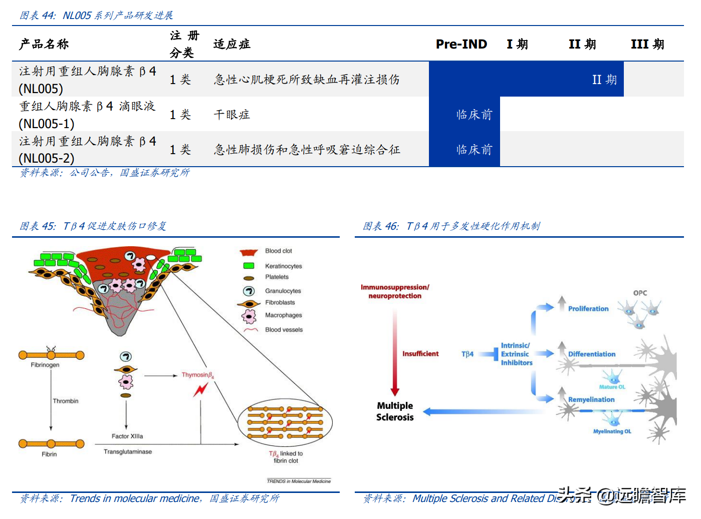 基因治疗大时代，诺思兰德：一马当先，50亿级别重磅单品价值低估