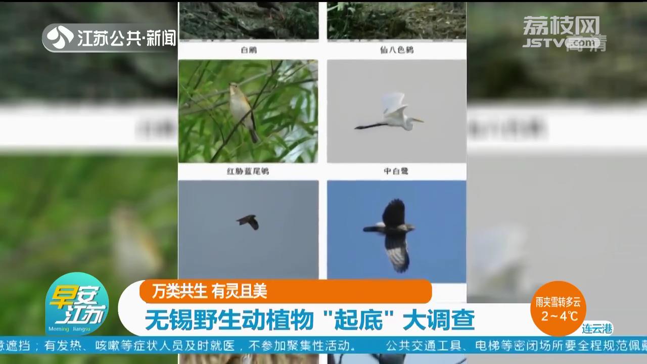 万类共生 有灵且美 无锡野生动植物“起底”大调查