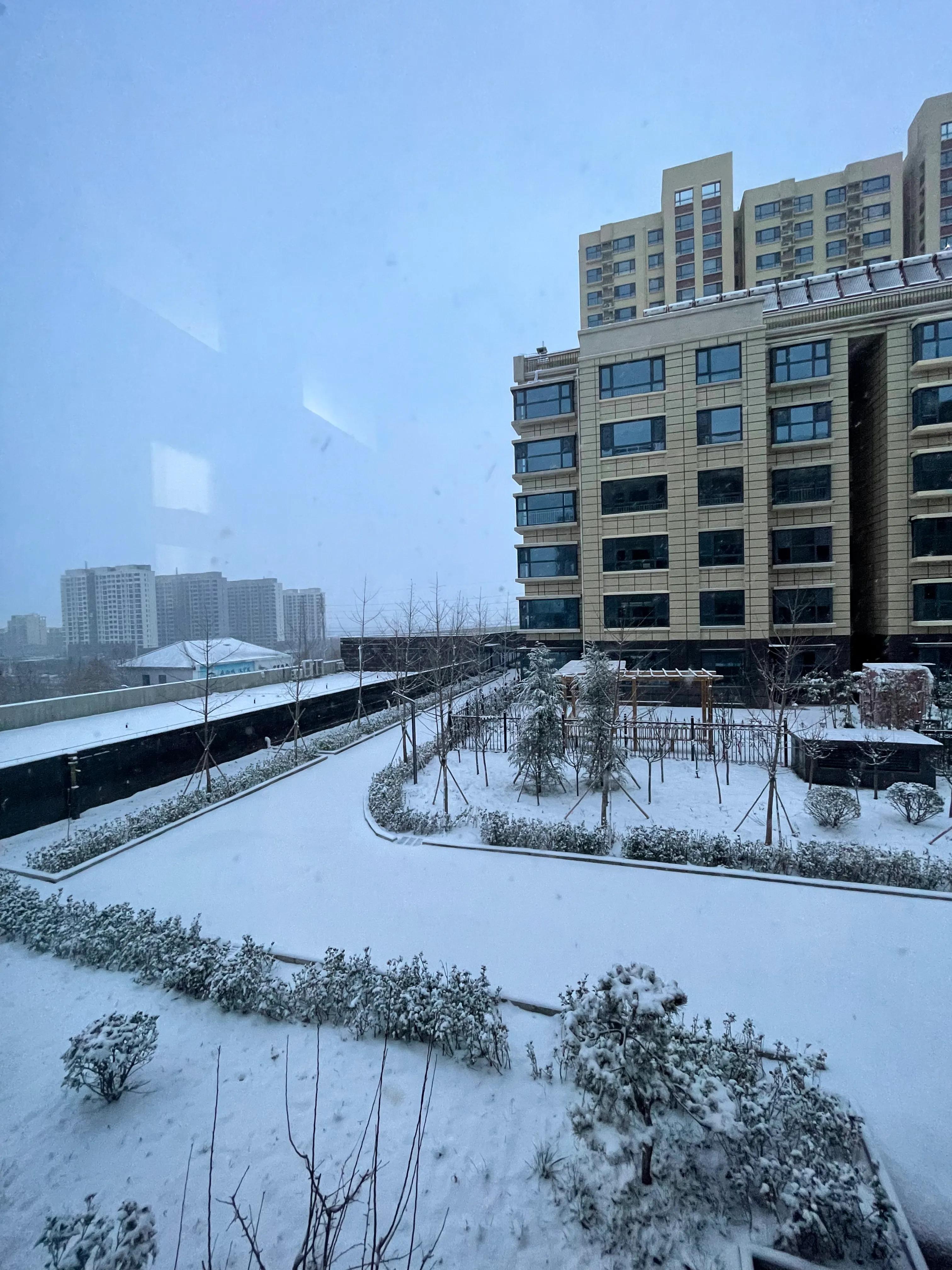 《2022初雪：不见其形，唯闻风吟》