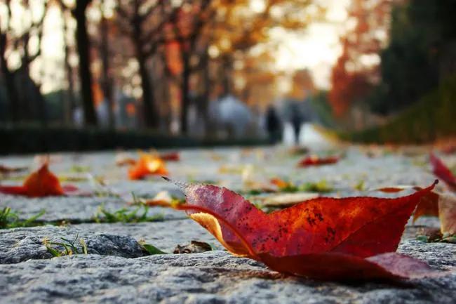 长大后才发现难忘的事不一定是快乐的，很可能充满了无奈