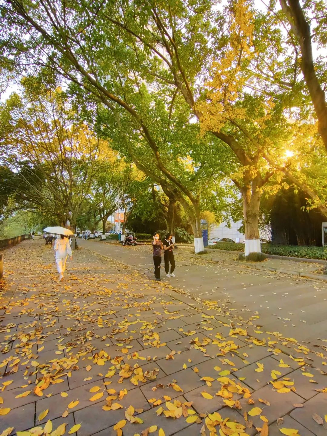 重大的春天，就是不一样