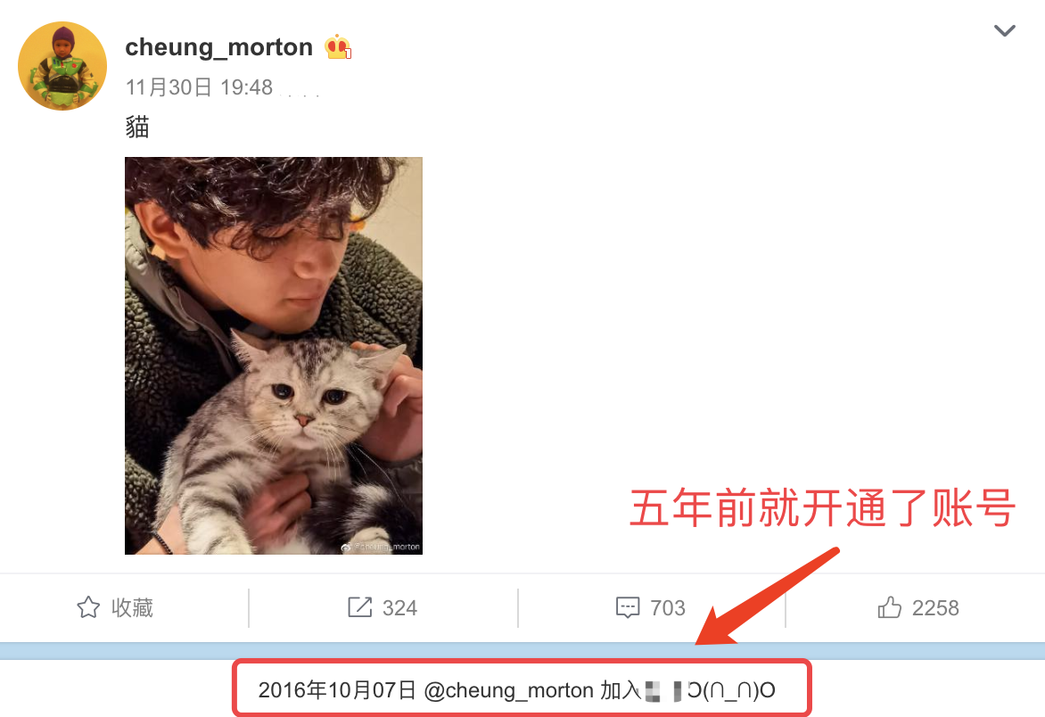 张智霖儿子晒撸猫日常，魔童眼神温柔颜值高，费曼留言梦幻联动