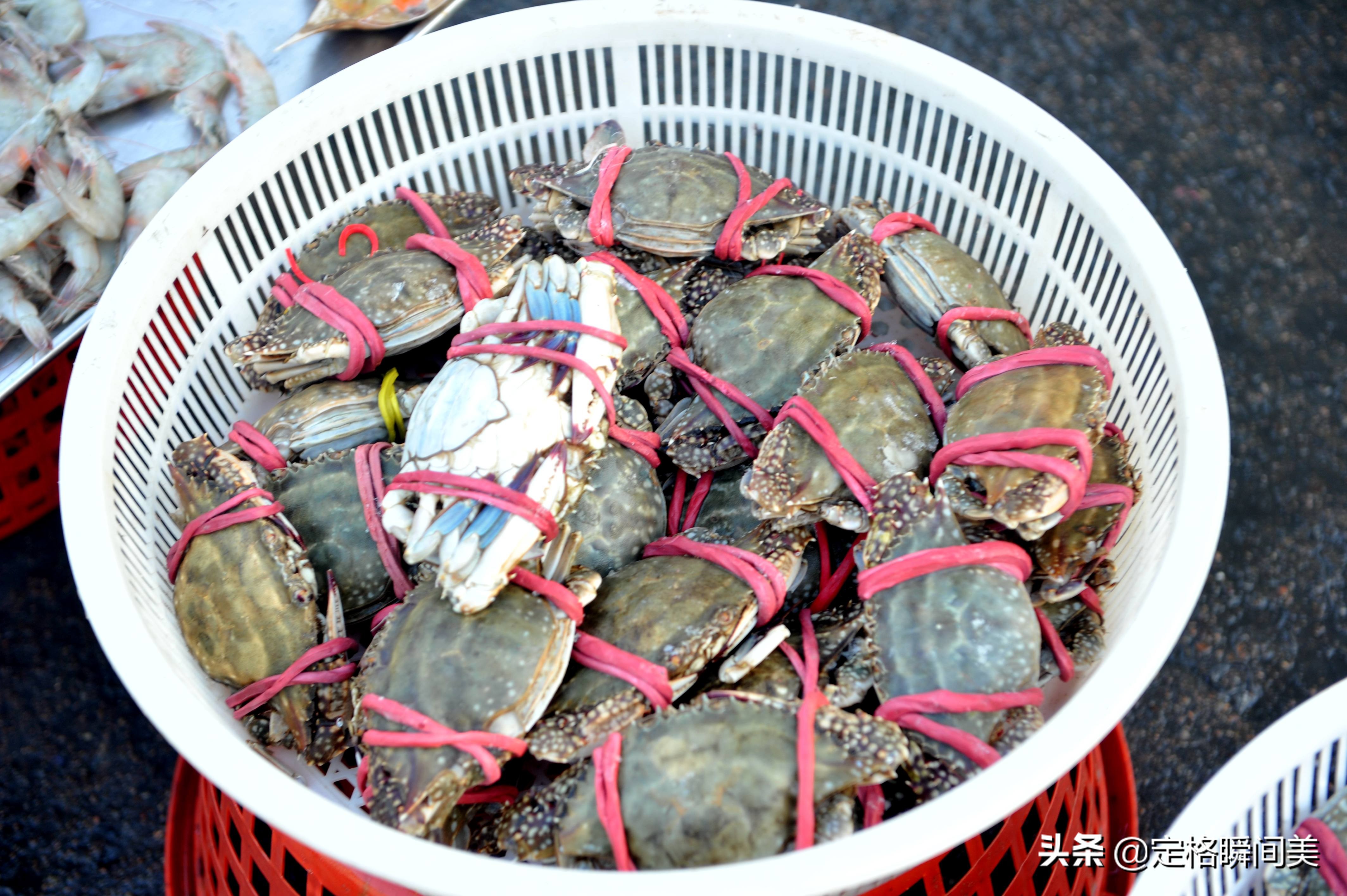 鯧魚多少錢一斤,鯧魚多少錢一斤市場價2022