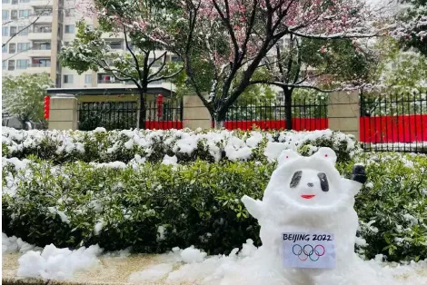 济南一村口惊现巨型冰墩墩！爆火后被村长连夜&ldquo;解救&rdquo;，网友：现在的我你高攀不起