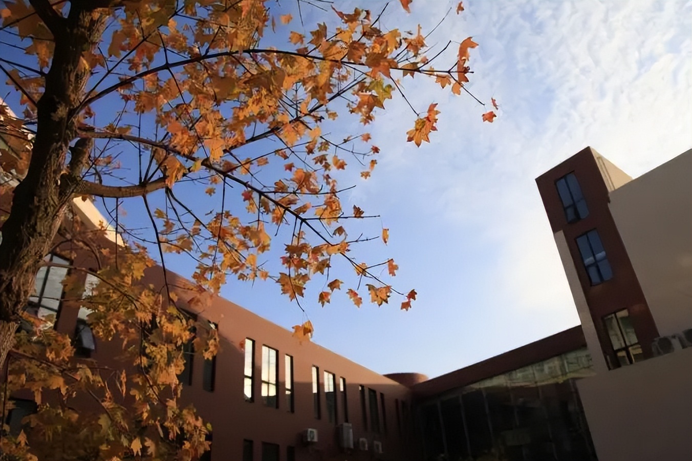 男大学生接受采访，长发造型惹争议，但举止间却堪称“人间清醒”