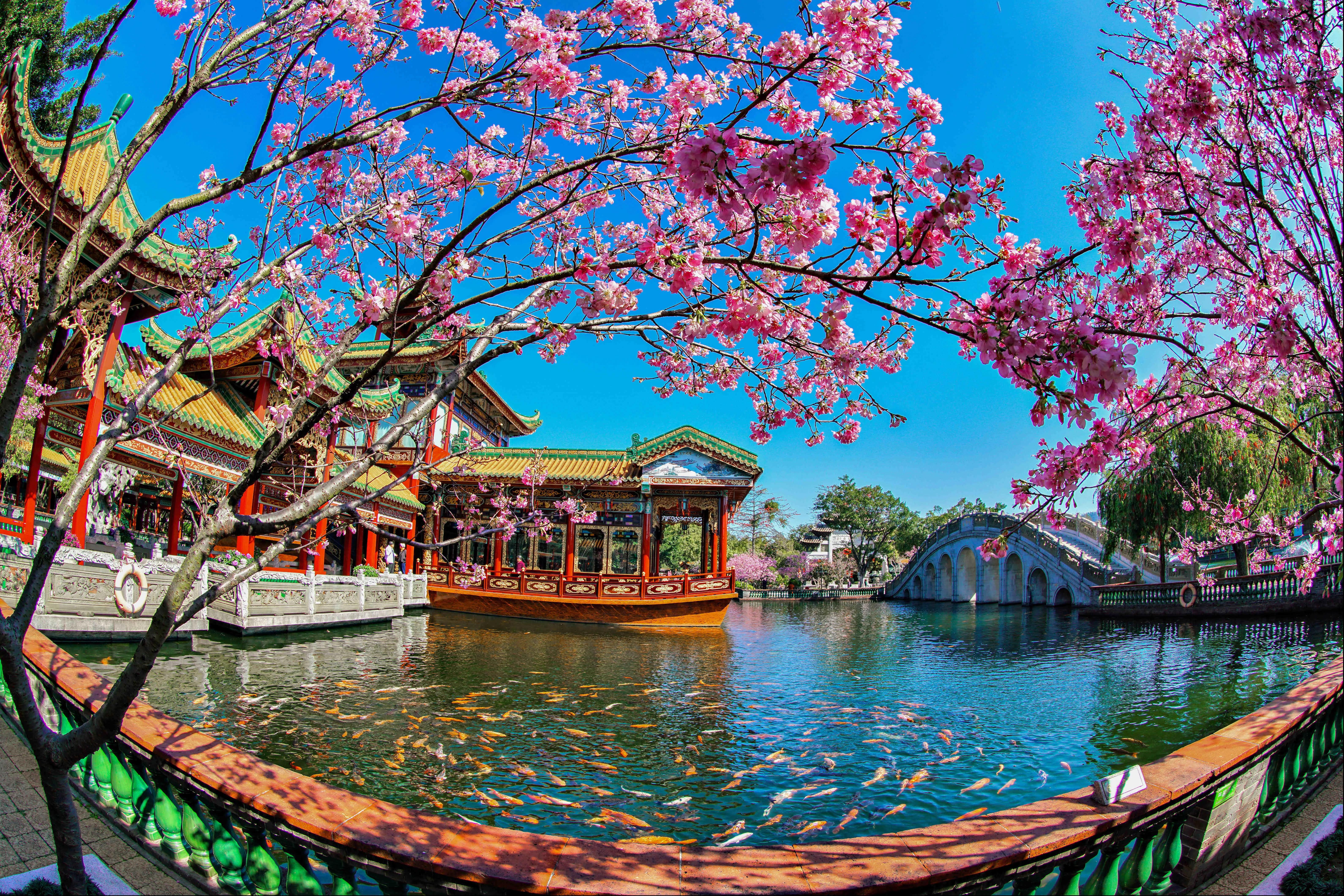 广州—“花都”！踏青最美的七个地方，你都去对了吗？