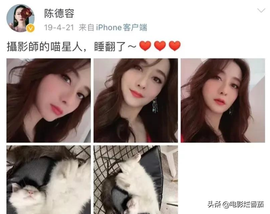 这6位不耐老女星，年轻时是颜值天花板，如今颜值大跌、老态频现