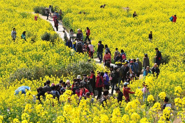 春天来了，去户外踏春旅行；不知道露营帐篷怎么选择的朋友看过来