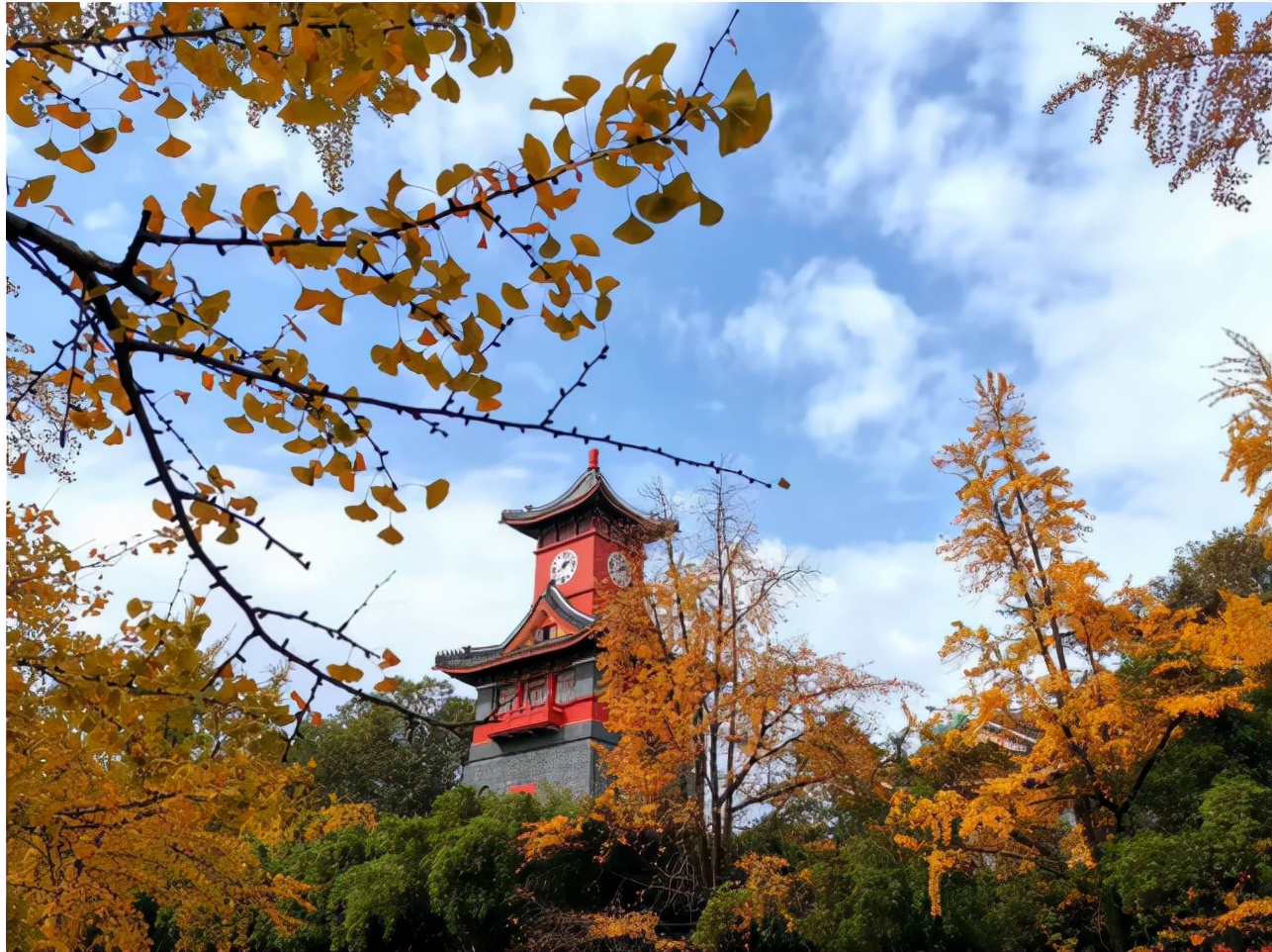 全国51所高校入选！教育部最新公告：四川大学新增2个重量级基地！