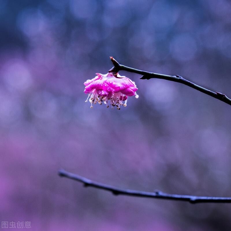 世间自有轮回，凡事都有因果。有一种遇见，不在路上，而在心上