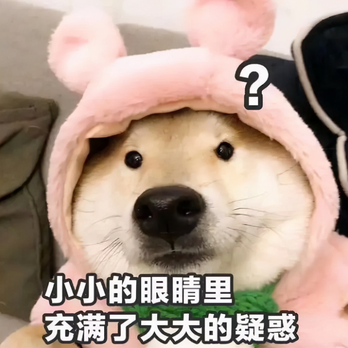 为什么四六级过级率一年比一年低？